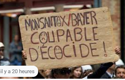 Ecocide